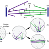 Model overview