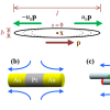 Model schematic.