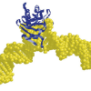 TFIIA structural model