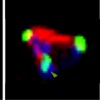 Cell image