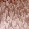 penitentes