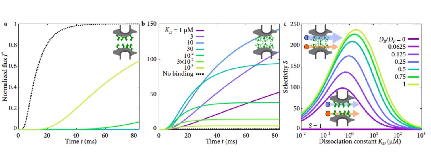 Betterman Lab Diagram