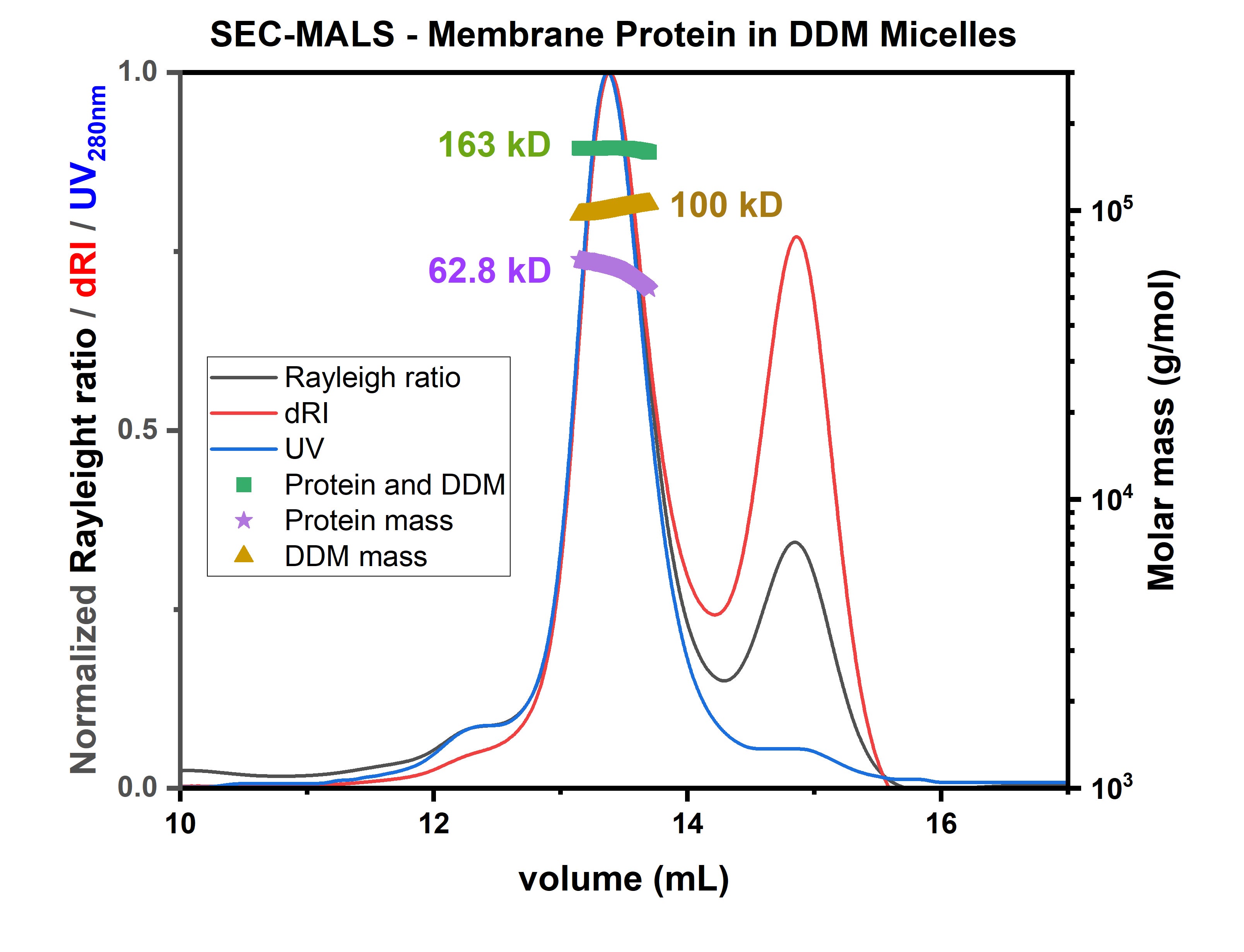 SEC-MALS Example showing results for a membrane protein in DDM micelles from conjugate analysis