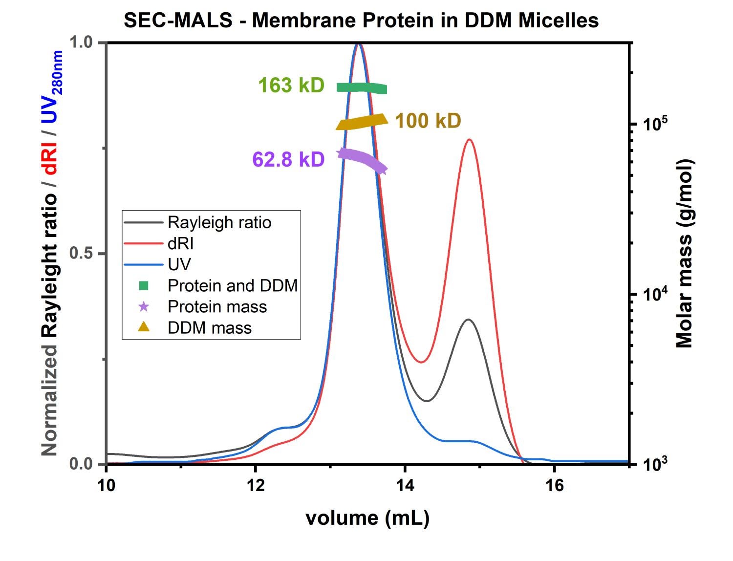 SEC-MALS Example showing results for a membrane protein in DDM micelles from conjugate analysis