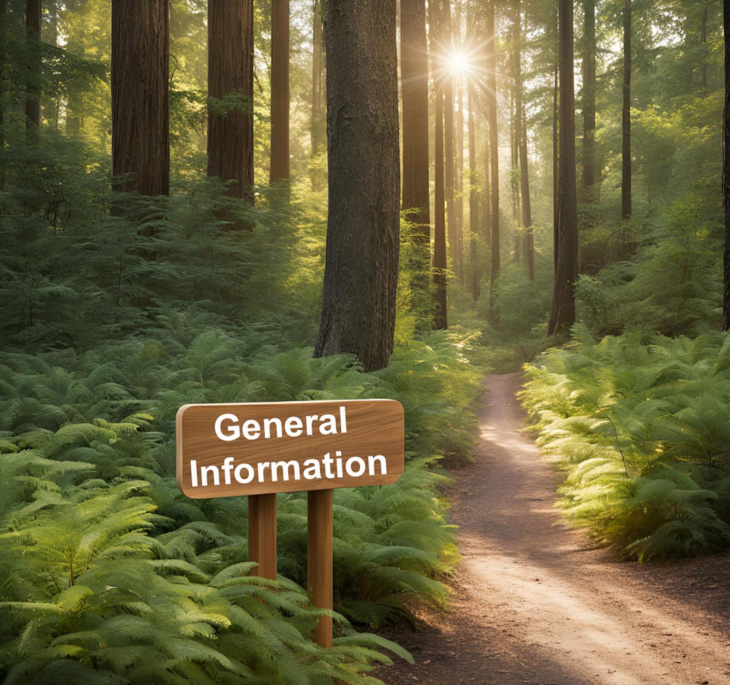 Trailhead with wooden sign reading "general information"