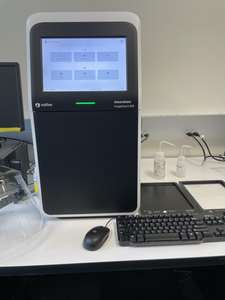 IQ 800 Imager