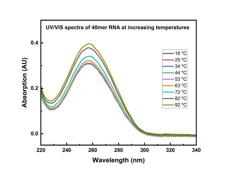 UV/VIS RNA spectra at increasing temperatures, 10 C steps 15 to 95 C)