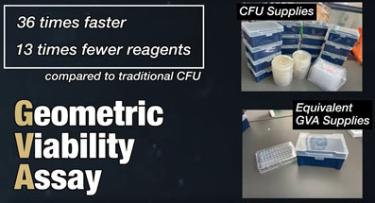 Illustration of waste reduction by GVA compared to conventional plate best CFU assays
