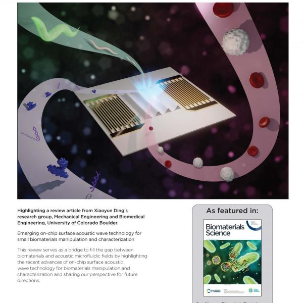 2021 BioMaterial Sciences
