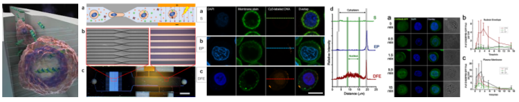Drug Delivery with High Throughput