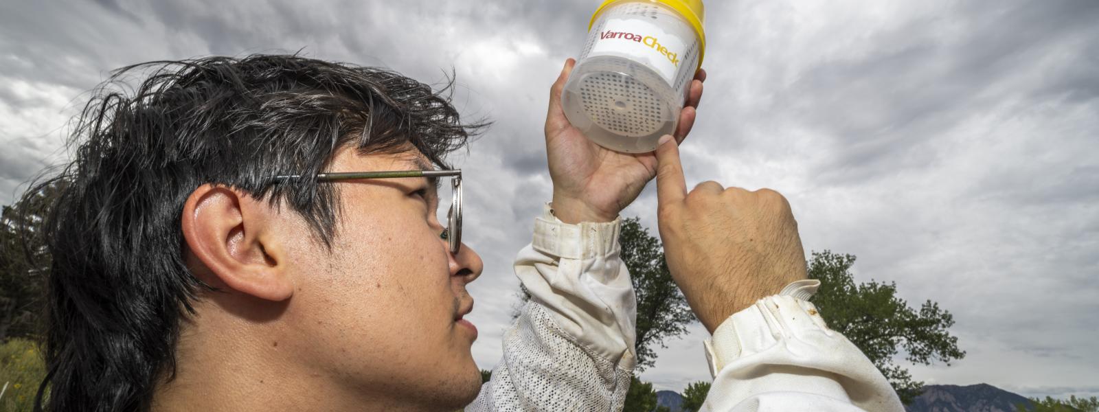 Student performing a mite wash