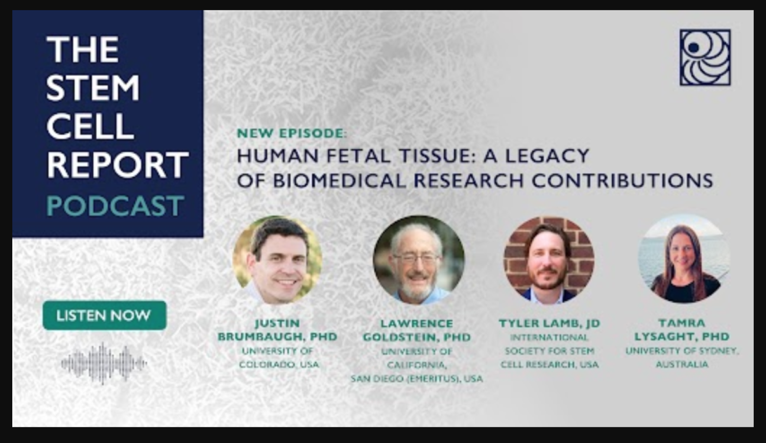 Stem cell podcast