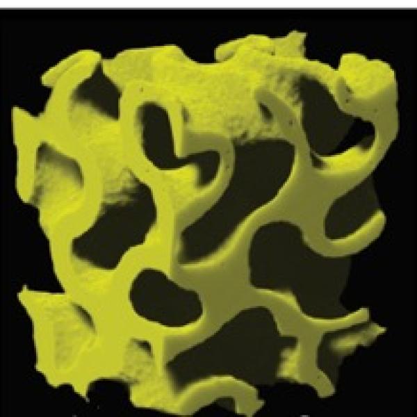 Biofabrication