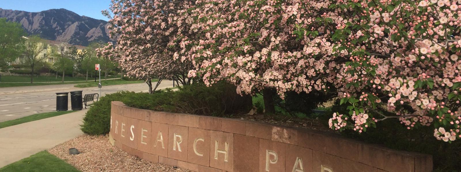 Research Park