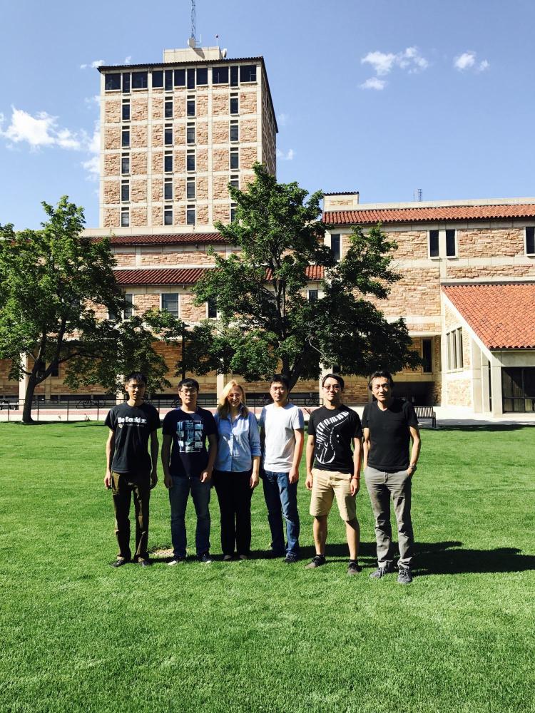 The Group, 2017