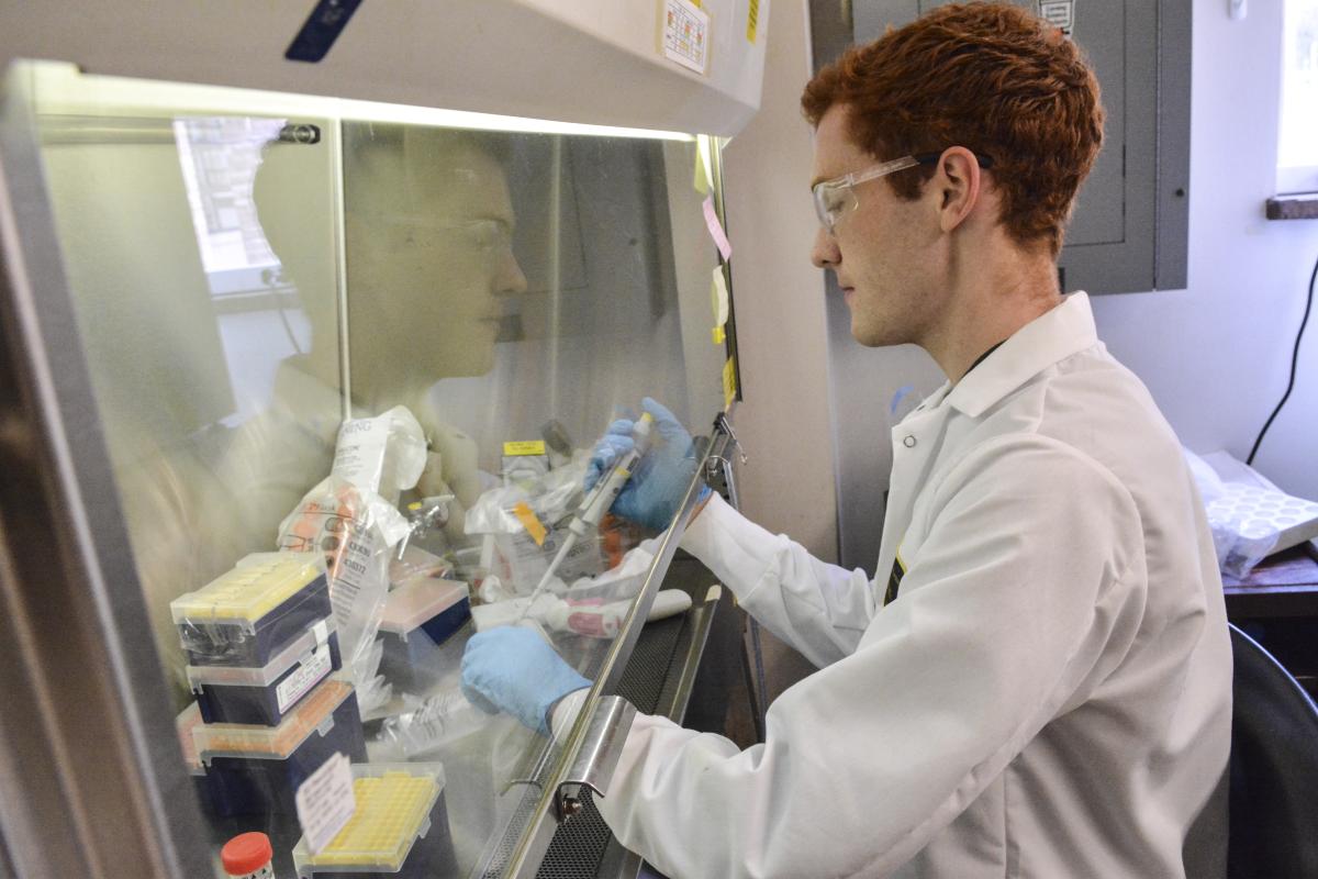 Student at tissue culture hood.