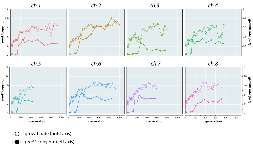 proA adaptation plots