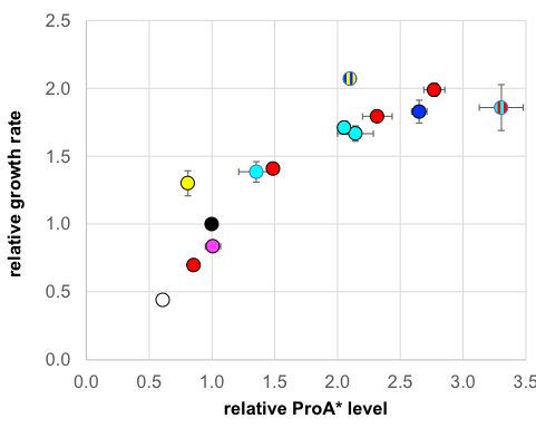 synonymous mutation effect on growth rate