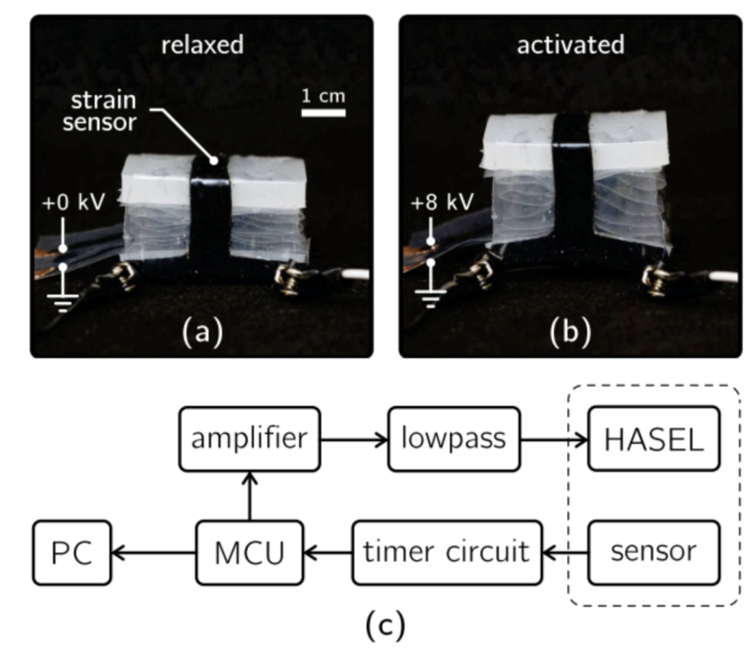 Identification and Control of a Nonlinear Soft Actuator and Sensor System