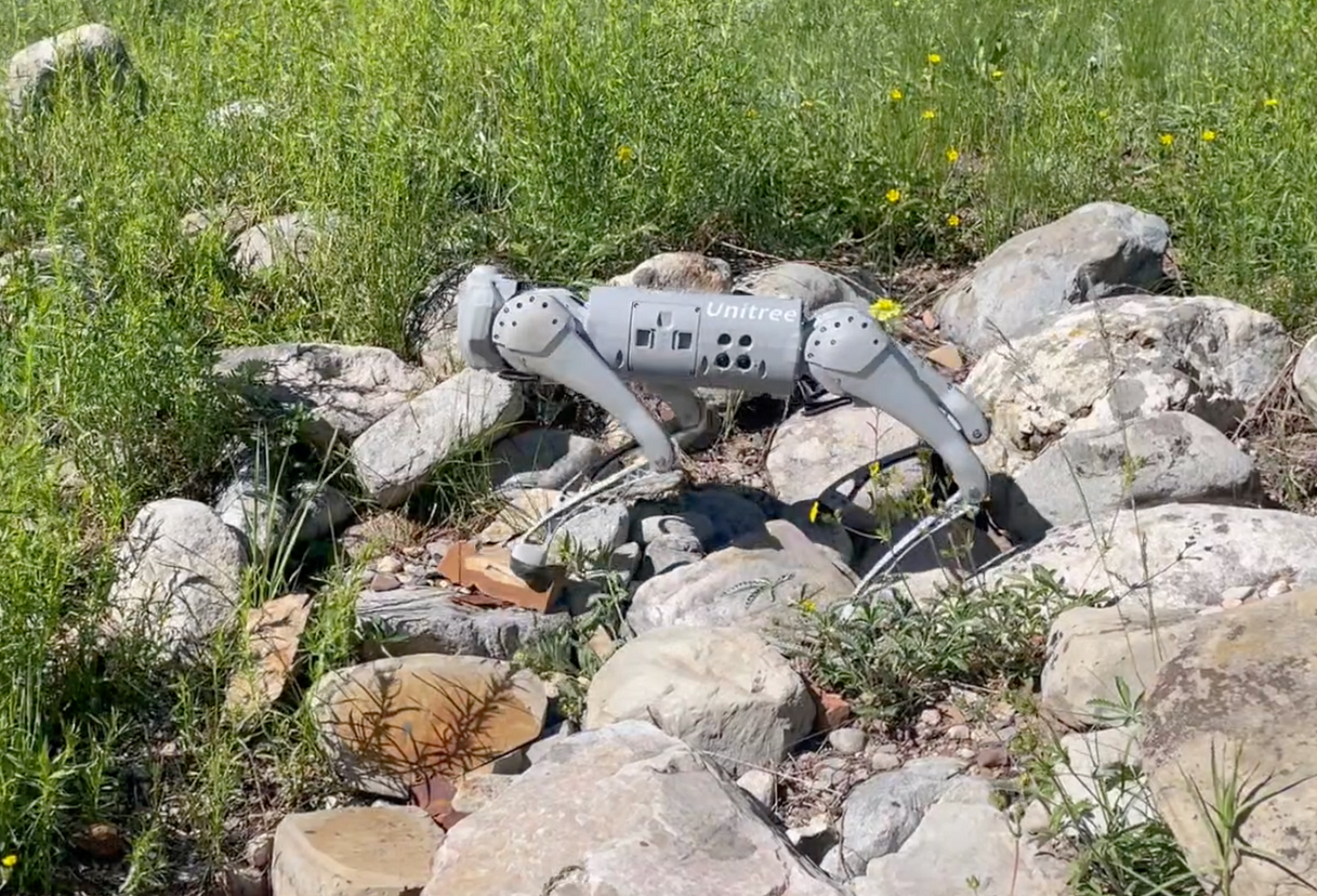 Unitree Robotic dog at Rocky Mountain Biological Lab.