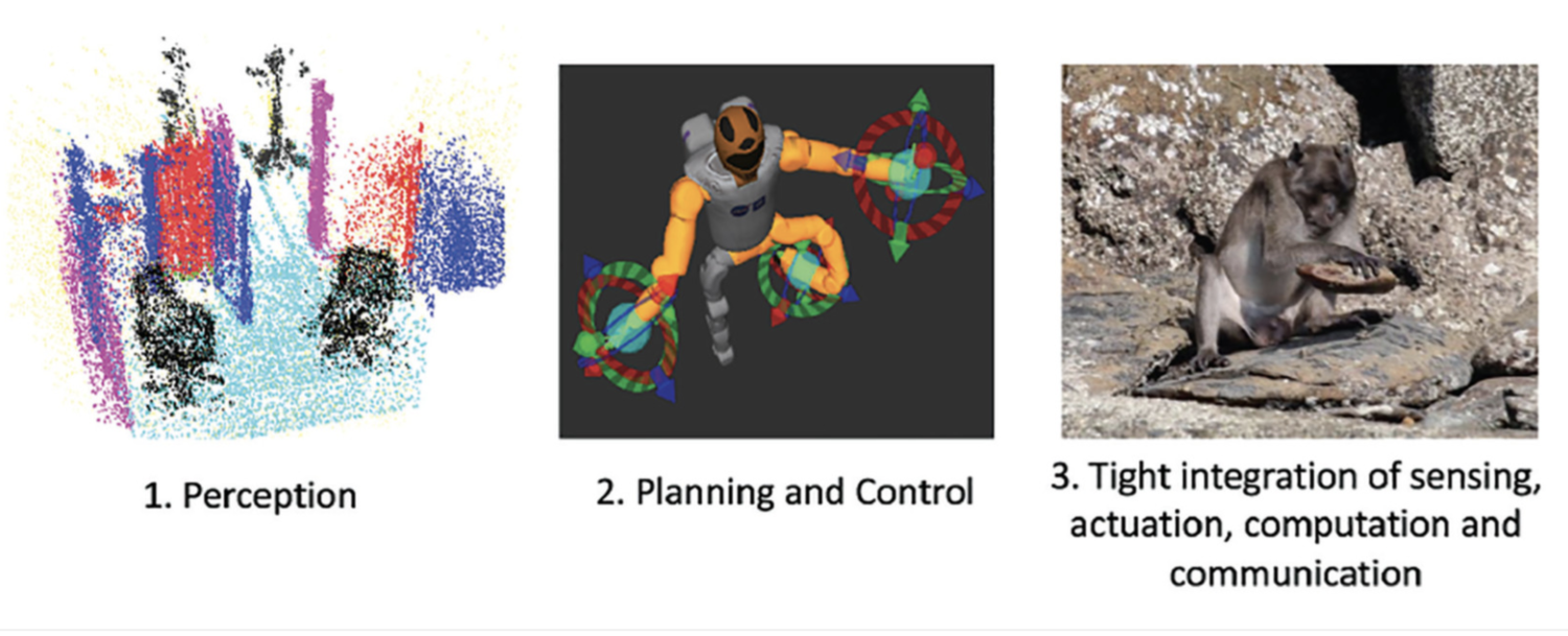 Materials need to blur the boundary between perception and control