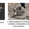 Materials need to blur the boundary between perception and control