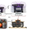 Embedded Magnetic Sensing for Feedback Control of Soft HASEL Actuators