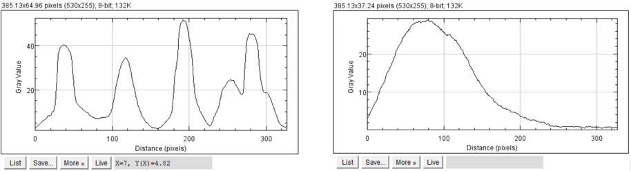 Plot profiles generated by ImageJ.