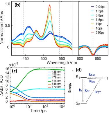 SF occurring at a picosecond scale in the pentacene dimer. As monitored by fsTA