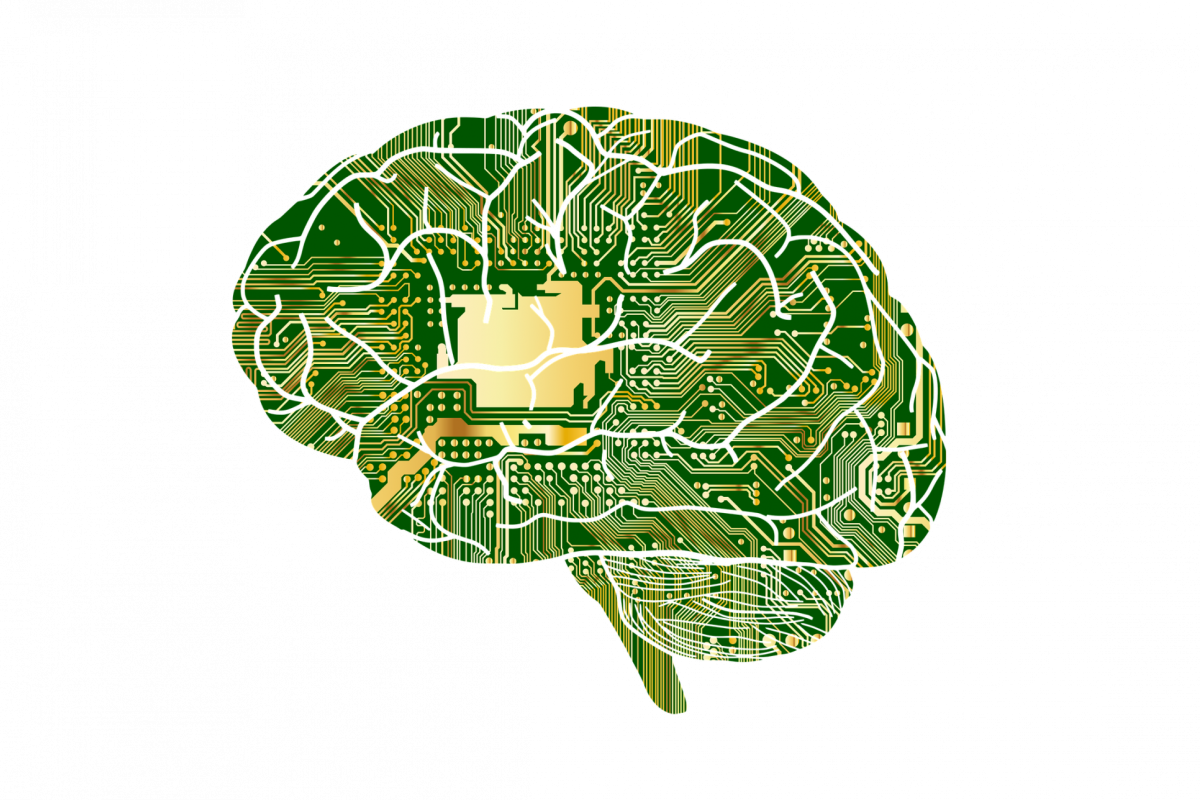 Brain
