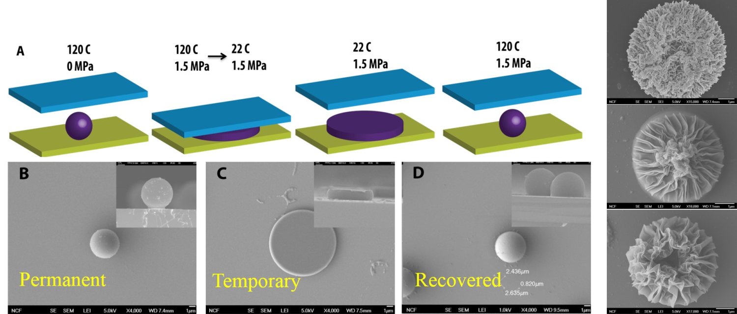smart particles