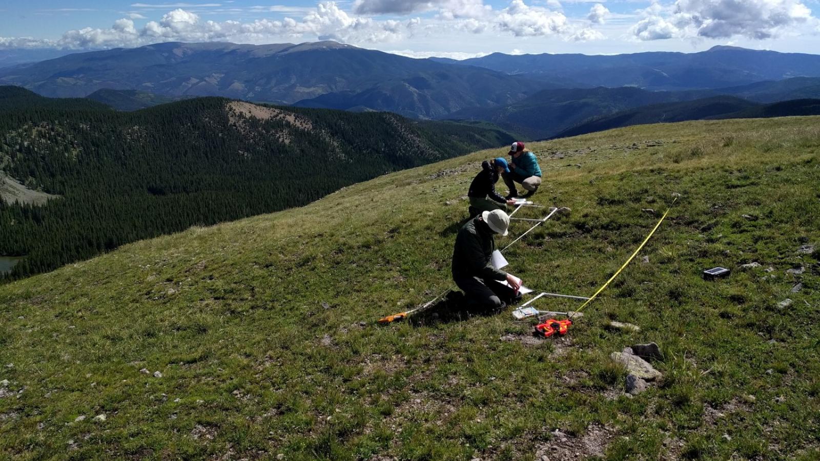 AK fieldwork
