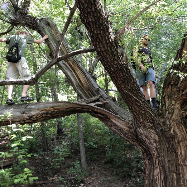 Group Hike - Settler's Park 2019