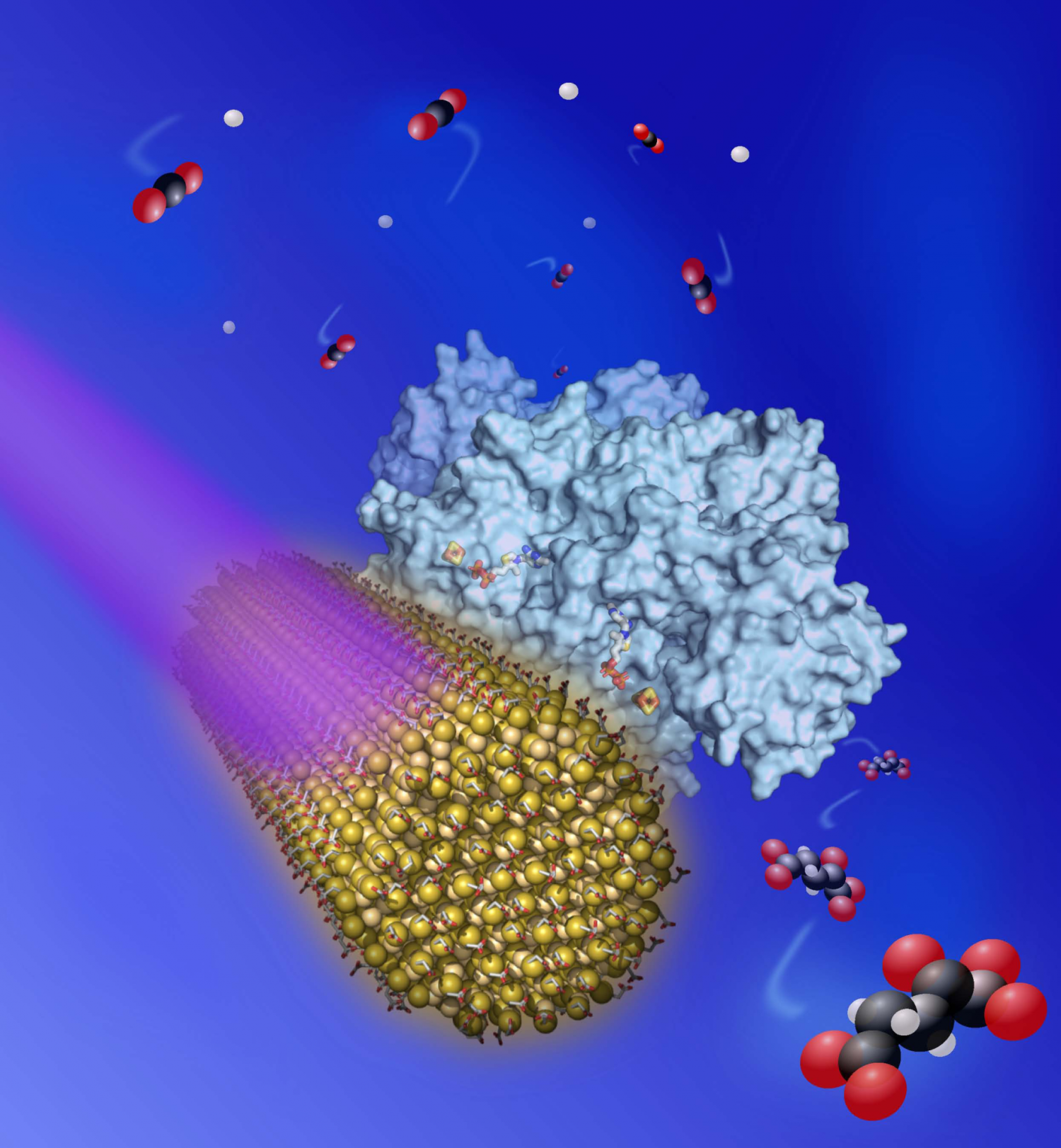 OGOR Cover Image