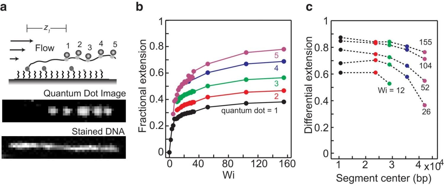 article figure
