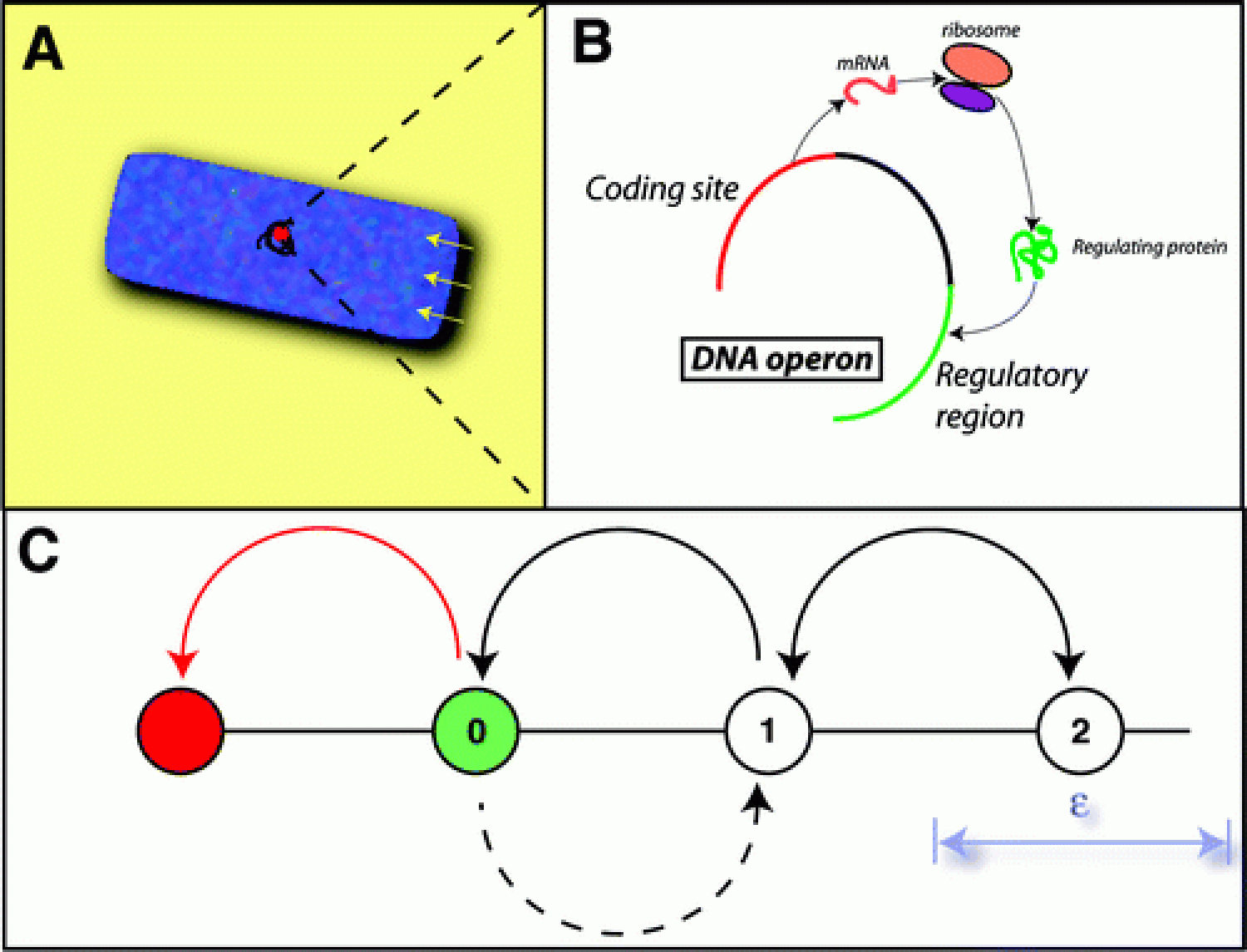 article figure
