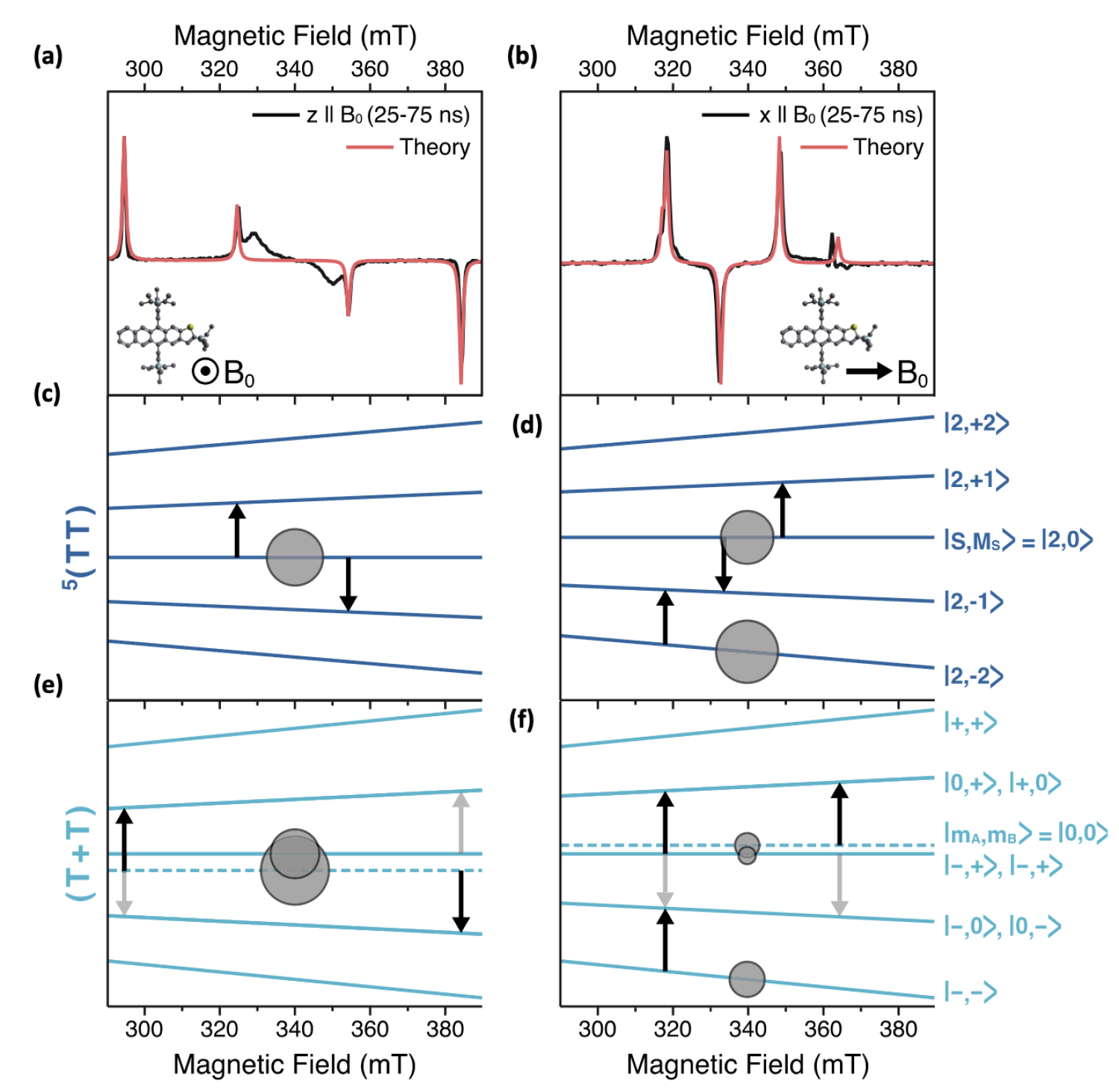Figure 5 of the article