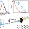article figure