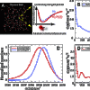article figure