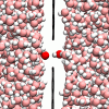 article figure
