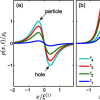 article figure
