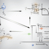 toc of article