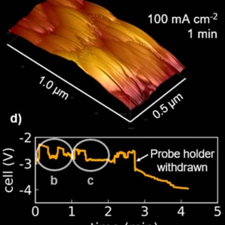 Figure showing a snapshot taken by Electrochemical Atomic Force Microscopy (EC-AFM)