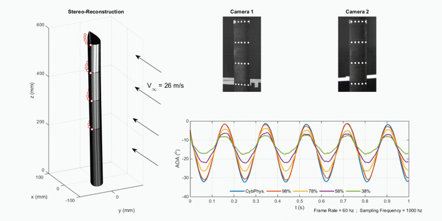 Wing kinematic measurements and reconstruction