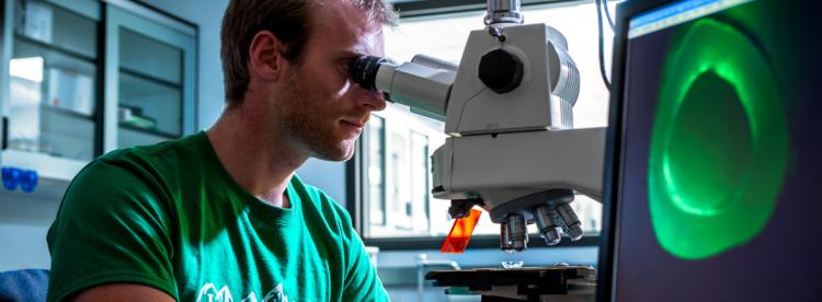 A male student looking into a microscope