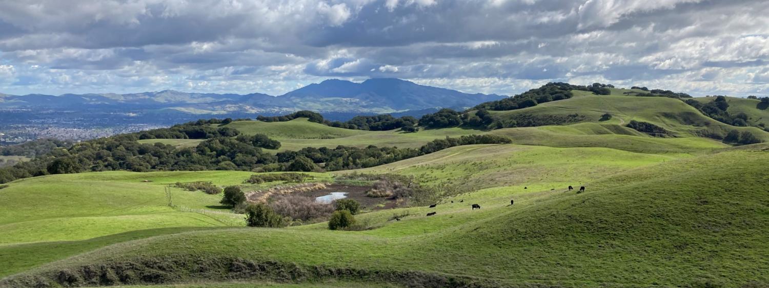Image of grassy hills with some patches of trees and a partly cloudy sky