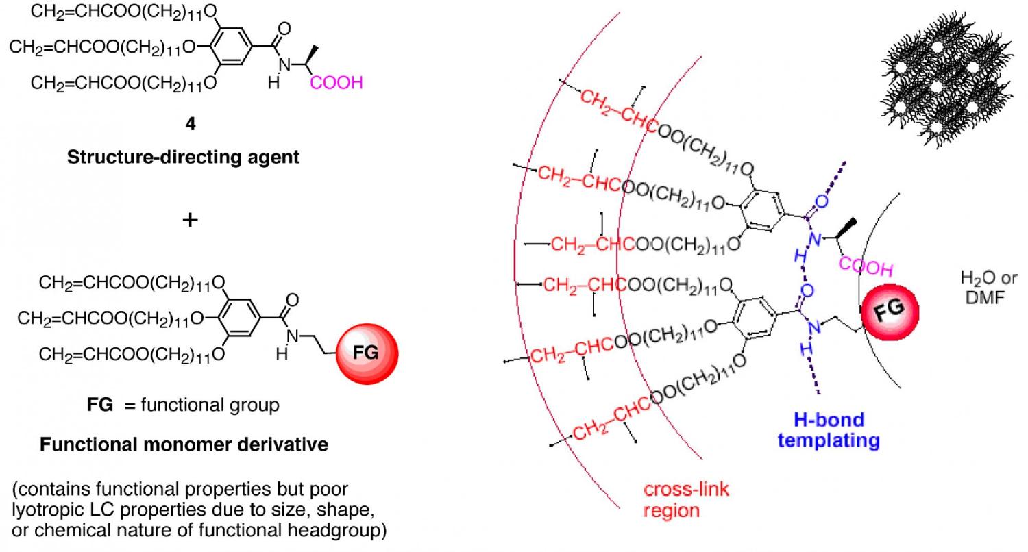 Templating of functionalized derivatives