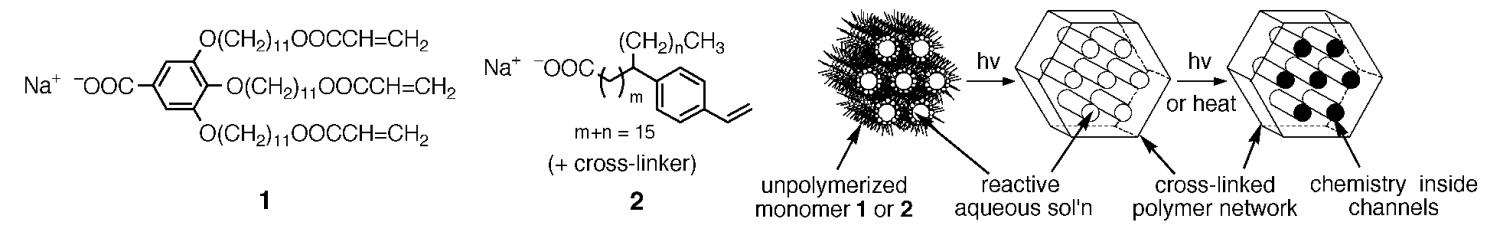 Synthesis ordered polymer-based nanocomposites