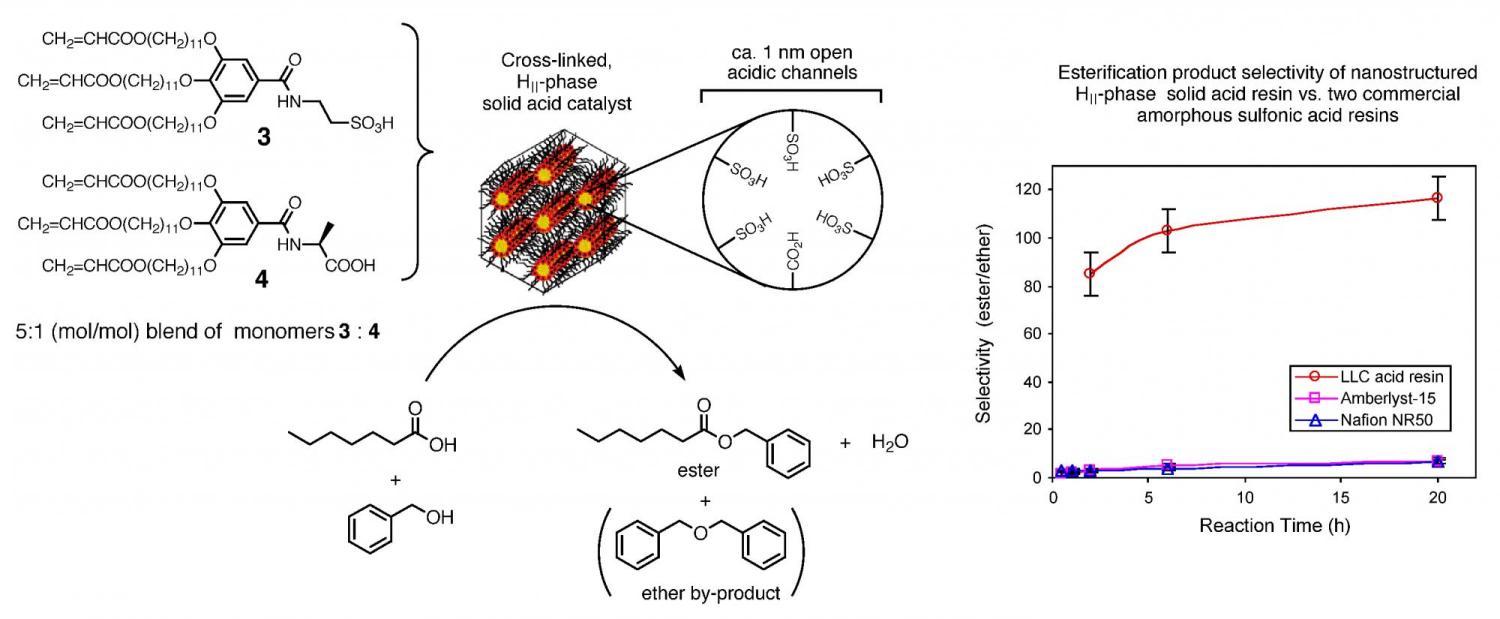 lyotropic LC assemblies