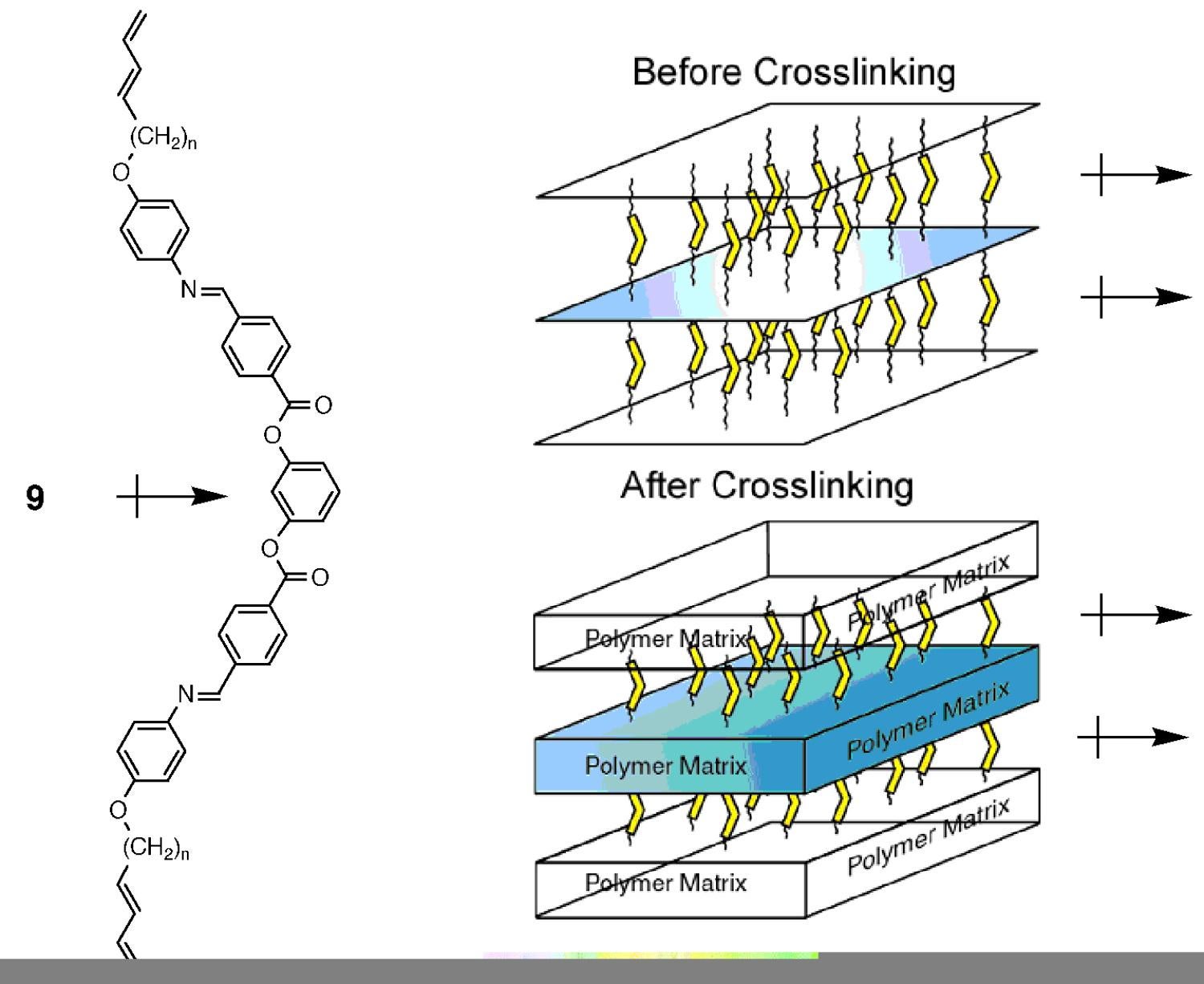 Diagram showing the process shown